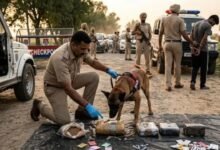 Rajasthan News: नशा तस्करों पर शिकंजा कसा, ANTF डॉग स्क्वॉड ने बढ़ाई मुश्किलें