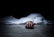 Bhilwara News: अजमेर-चित्तौड़गढ़ हाईवे पर दर्दनाक टक्कर ट्रेलर की चपेट में तीन जिंदगियां खत्म